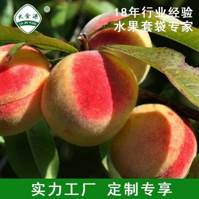 供应大金源牌生物套袋+膜果袋 苹果套袋水果袋 厂家生产 量大从优