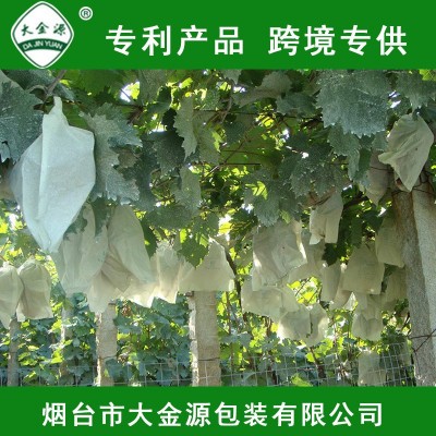 大金源牌葡萄套袋 全木浆水果套袋 防虫防菌可订 制批发厂家直供