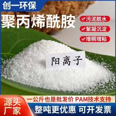 超级工厂 聚丙烯酰胺絮凝剂PAM阴离子非离子污水处理药剂 来样定制